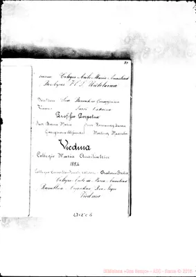 Fotogramma C 5