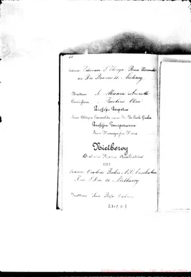 Fotogramma D 5