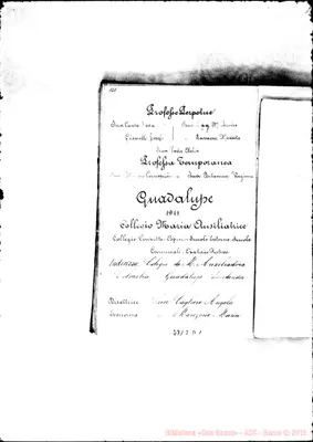 Fotogramma D 1