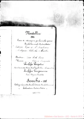 Fotogramma D 4
