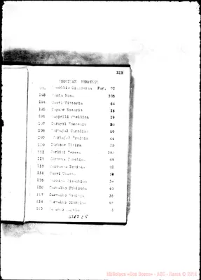 Fotogramma C 5