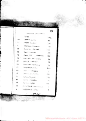 Fotogramma A 11