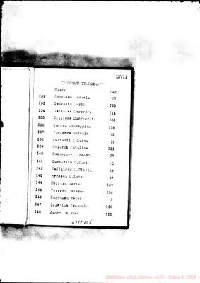 Fotogramma B 5