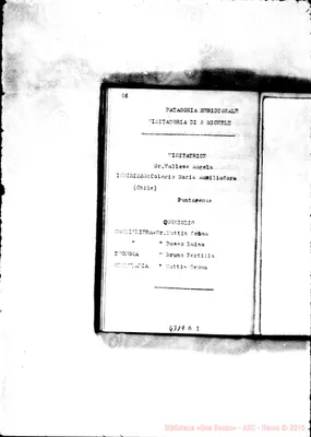Fotogramma D 3