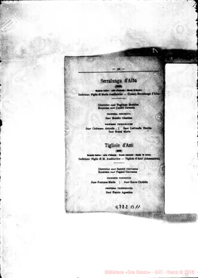 Fotogramma B 11