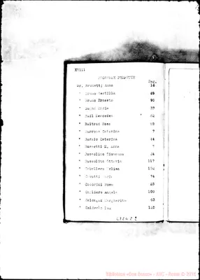Fotogramma C 2