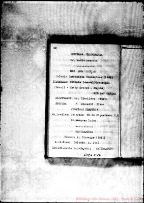 Fotogramma C 12