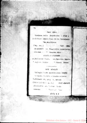 Fotogramma D 3