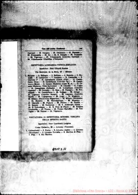 Fotogramma D 12