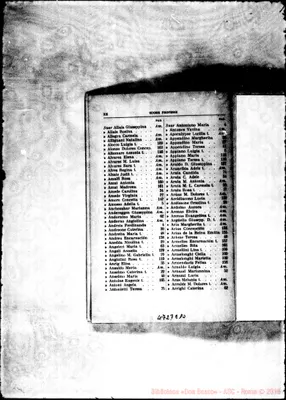Fotogramma E 10