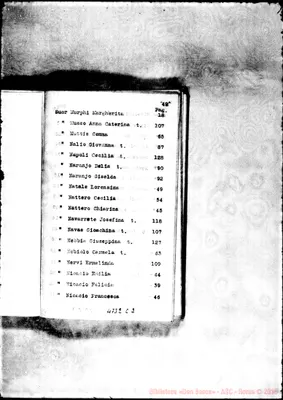Fotogramma C 2