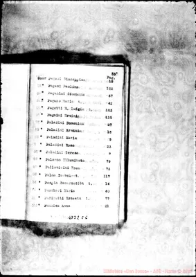 Fotogramma C 6