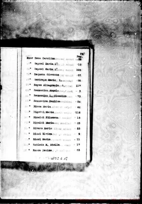 Fotogramma C 12