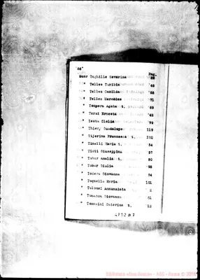 Fotogramma D 7
