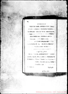 Fotogramma B 4