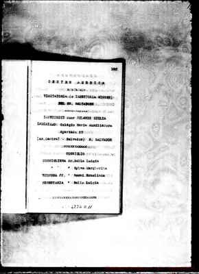 Fotogramma D 11