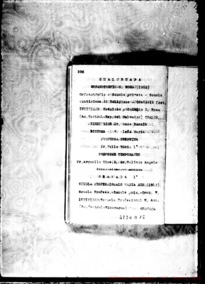 Fotogramma D 12