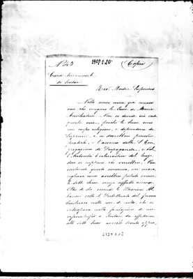 Fotogramma D 12