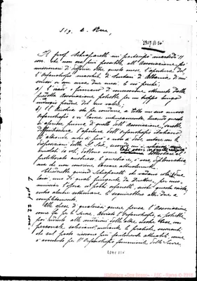 Fotogramma B 8