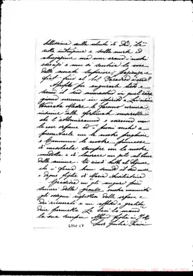 Fotogramma C 8