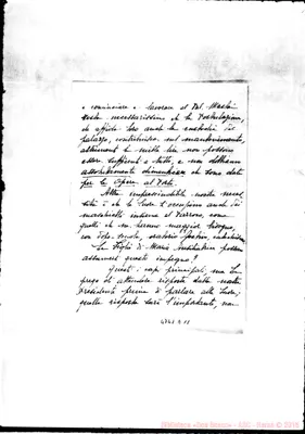 Fotogramma D 11