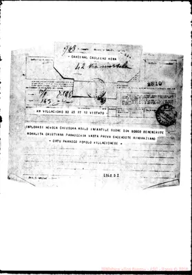 Fotogramma D 2