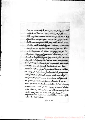 Fotogramma D 9