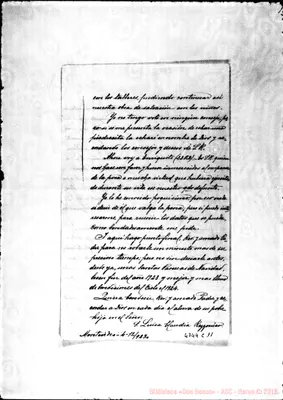 Fotogramma C 11
