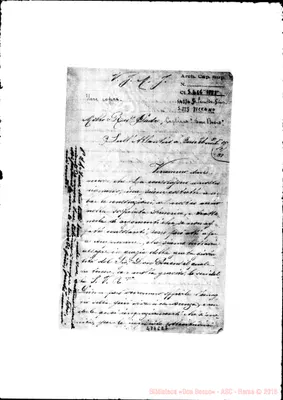 Fotogramma E 7