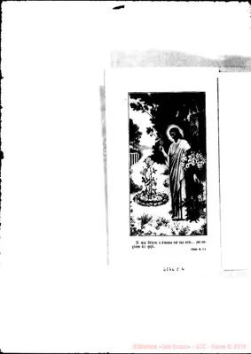 Fotogramma E 4
