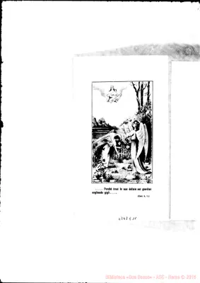 Fotogramma E 11