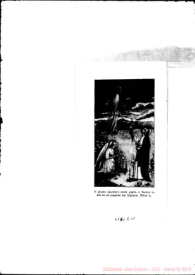Fotogramma E 11