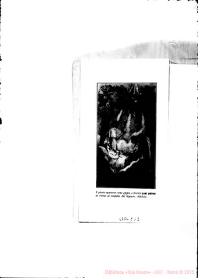 Fotogramma C 12