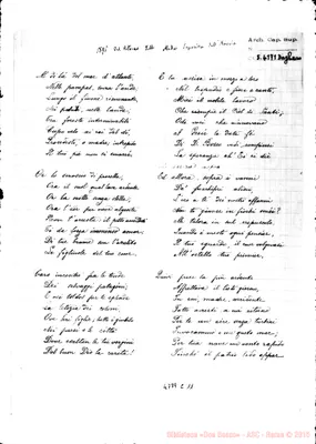 Fotogramma C 11