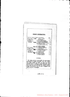 Fotogramma B 9