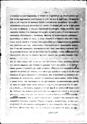 Fotogramma D 12