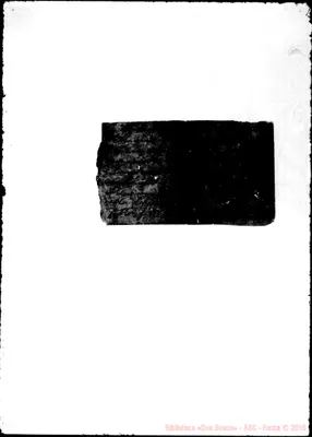 Fotogramma D 1