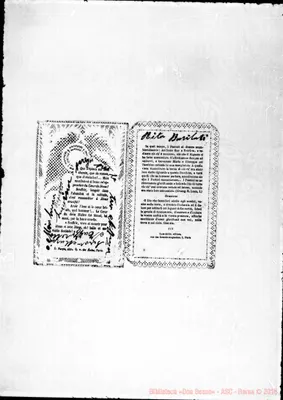 Fotogramma C 12