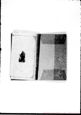 Fotogramma D 9