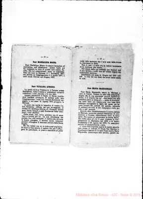 Fotogramma E 7
